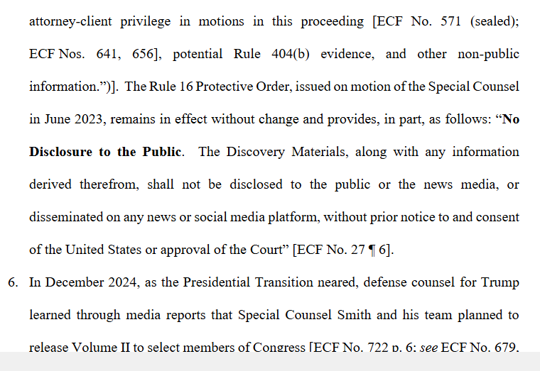 Legal filing screenshot showing Rule 16 Protective Order: No Disclosure to the Public